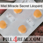 Miel Miracle Secret Léopard 24